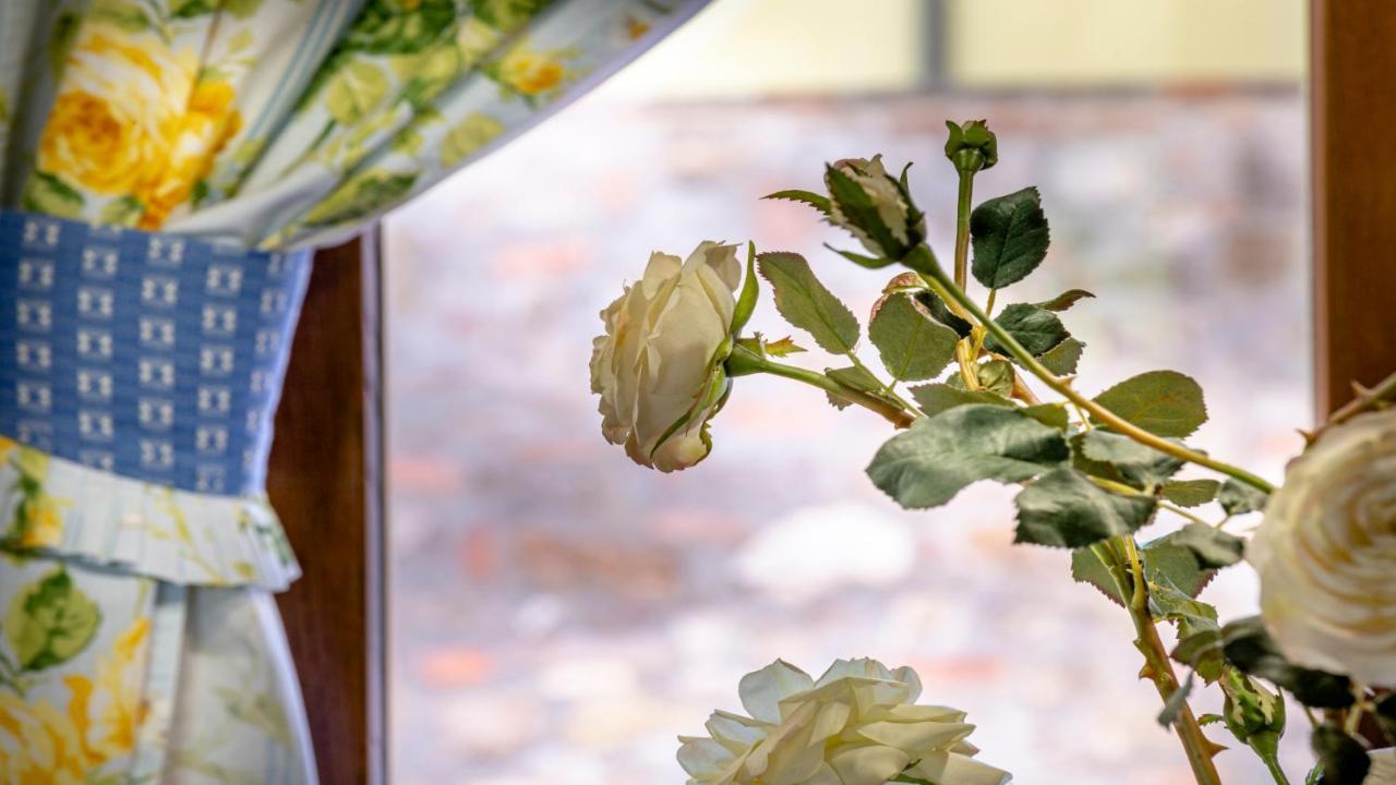 Il Cottage Di Patrizia Лукка Екстер'єр фото